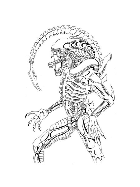 Раскраски хищника и чужого