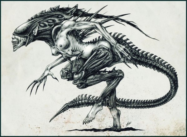 Чужой Ксеноморф любовь