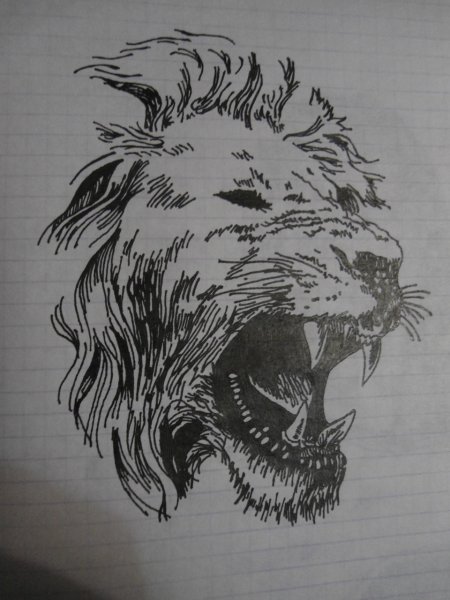 Рисунки чёрной ручкой