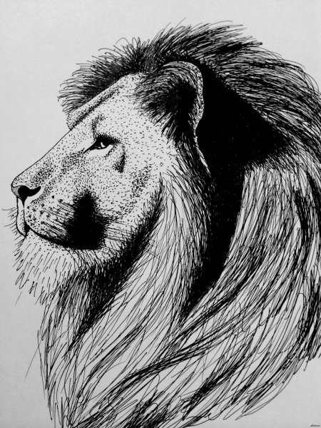 Лев гелевой ручкой