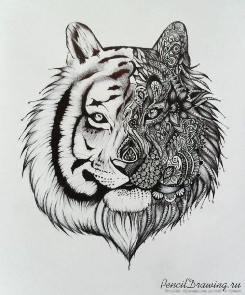 Графический эскиз Льва