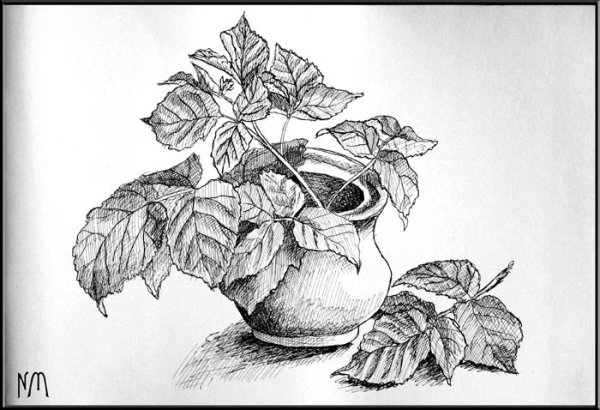 Букет карандашом