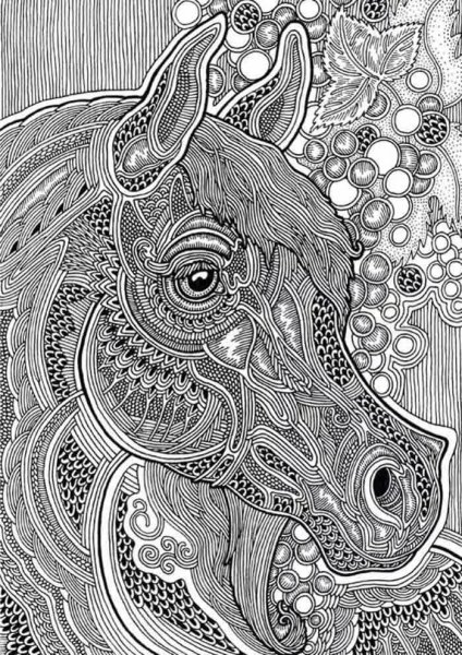 Раскраска антистресс ананас