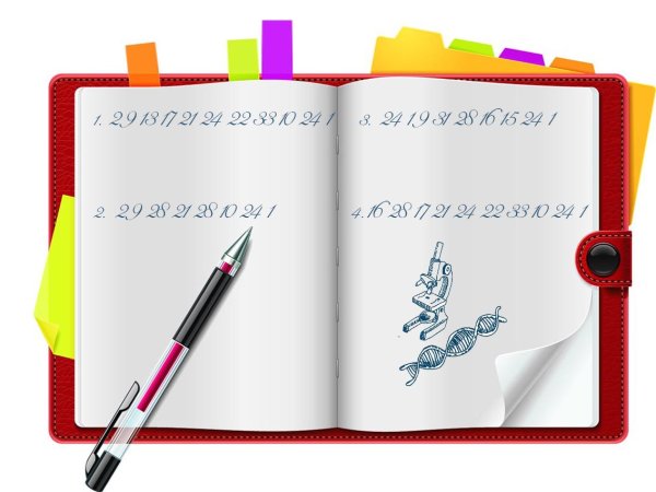 Тетрадь с ручкой на прозрачном фоне