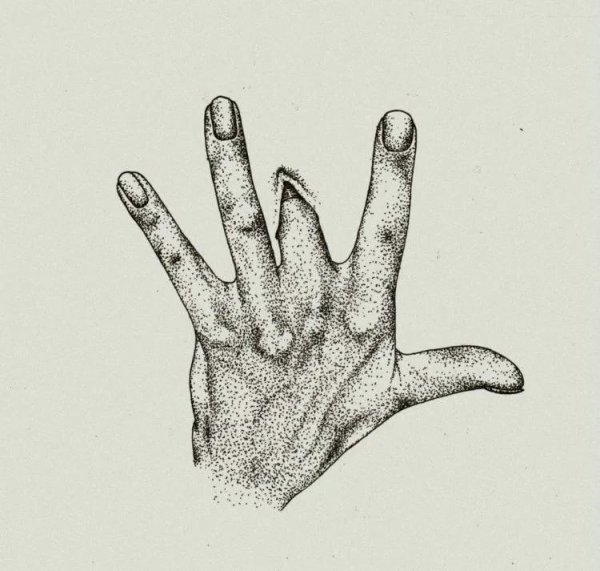 Фак карандашом