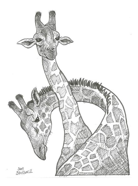 Фотореалистичная Графика животные