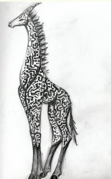 Голова жирафа