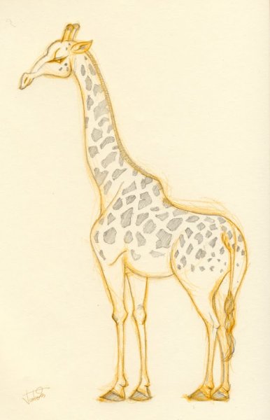 Жираф дудлинг Зентангл