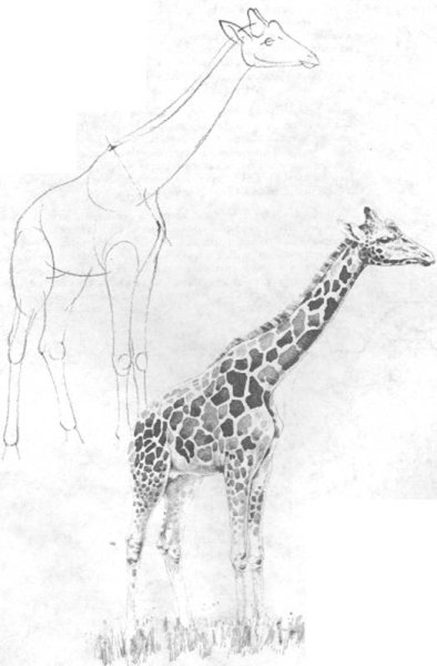 Прикольные лёгкие рисунки