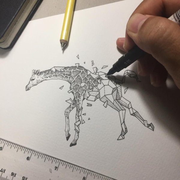 Карандашом Жираф карандашом