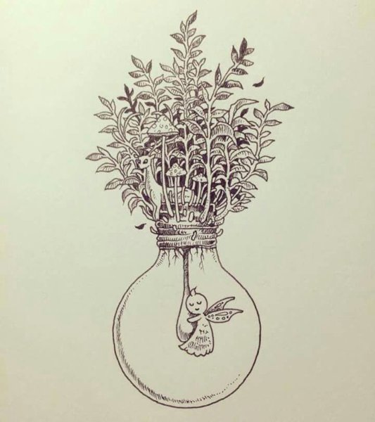 Рисунки ручкой растения