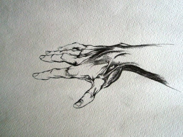 Рисунки на руке ручкой