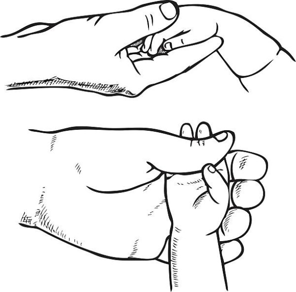 Первые шаги рисунок