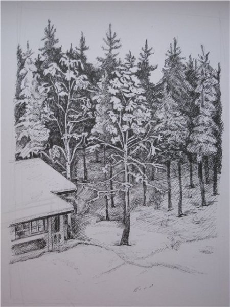 Зимний пейзаж ручкой