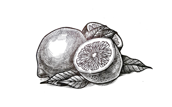 Фрукты в графике