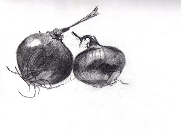 Наброски фруктов и овощей