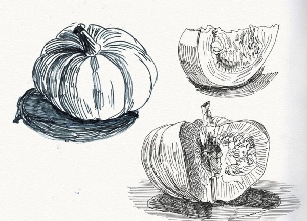 Зарисовки природных форм