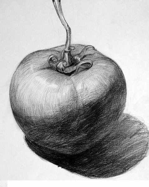 Натюрморт с овощами карандашом