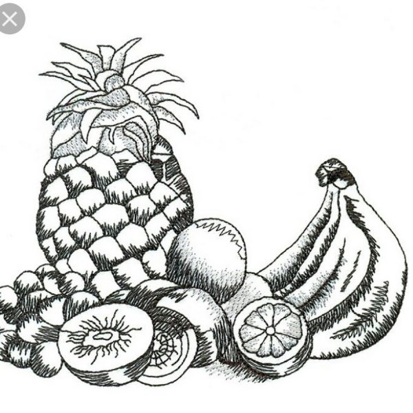 Фрукты карандашом
