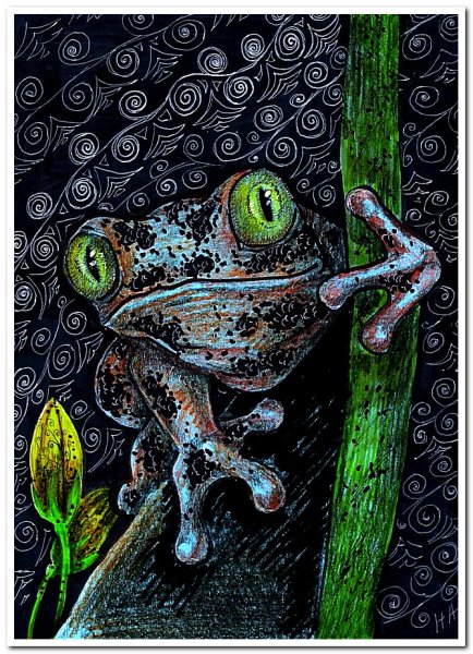 Лягушка абстракция