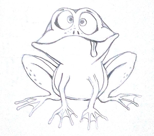 Рисунок лягушки для срисовки для детей