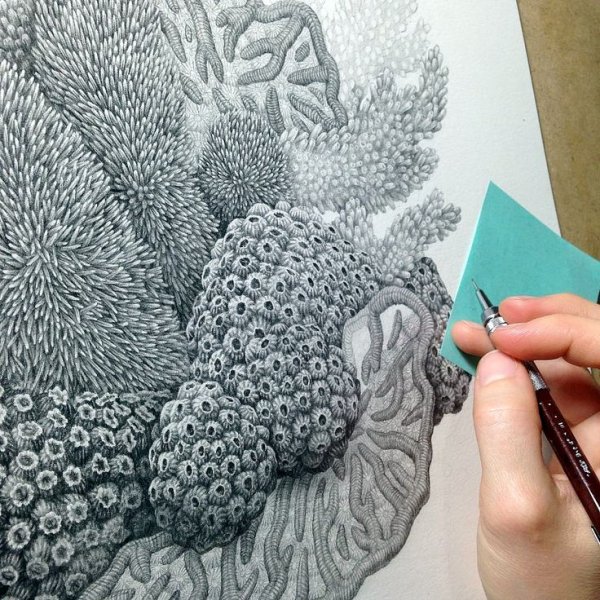 Рисунки на серой бумаге