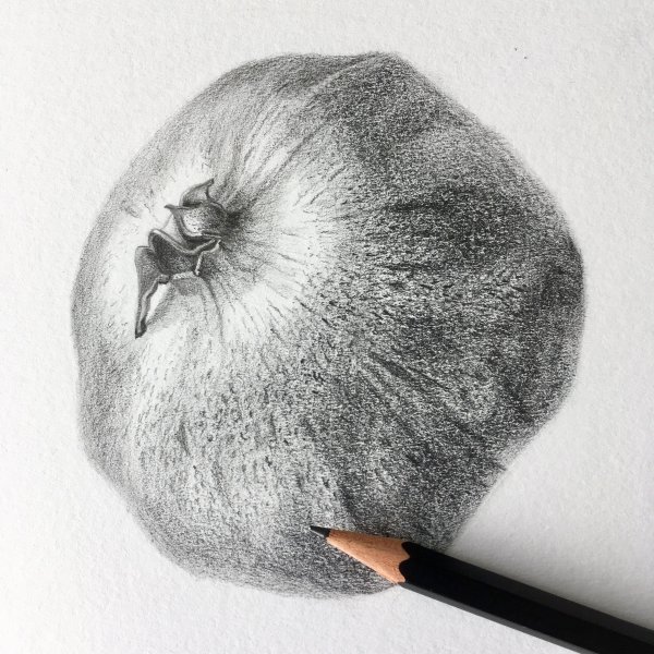 Рисунки грифельным карандашом