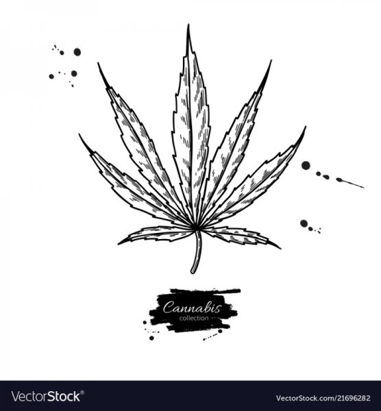 Марихуана карандашом