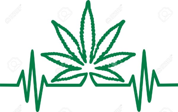 Поэтапное рисование конопли