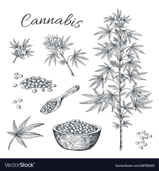 Марихуана Графика