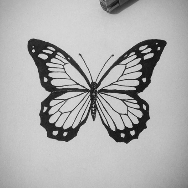 Бабочка тату черно белая