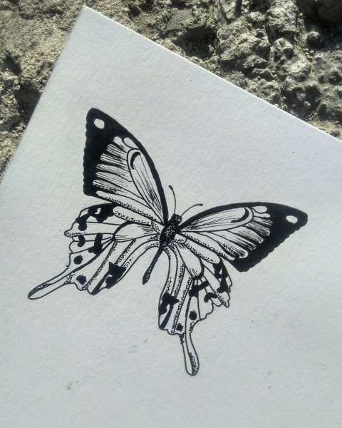 Бабочка тату эскиз