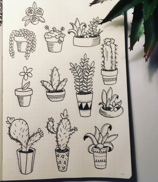 Растения в горшках для скетчбука