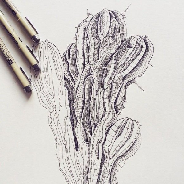 Кактус черной гелевой ручкой