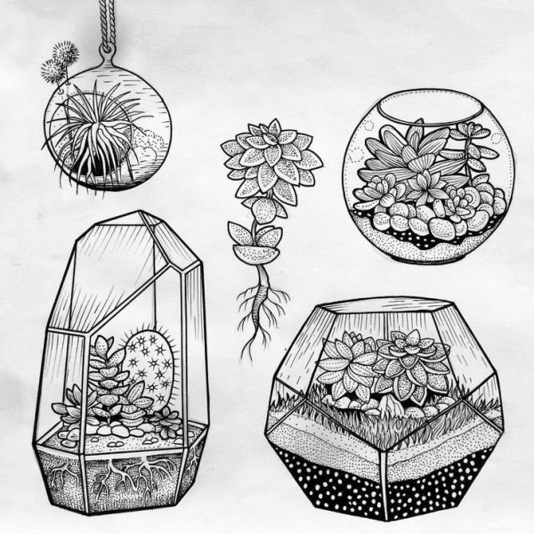 Флорариум скетч