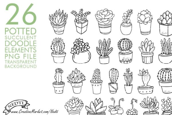 Маленькие раскраски кактусы