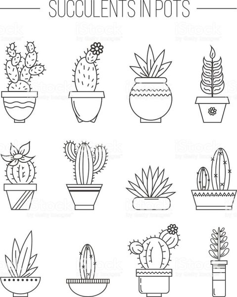 Наклейки черно белые кактусы