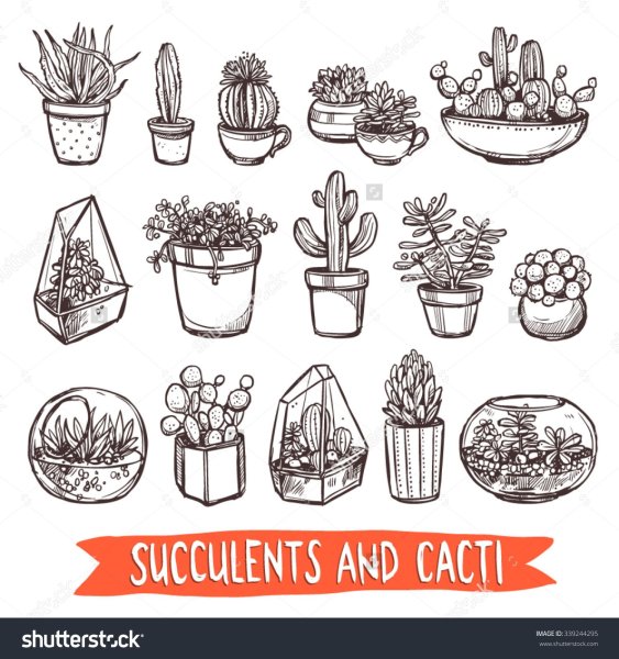 Кактус в стиле скетч