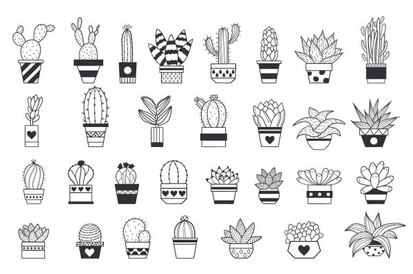 Маленькие чёрно белые кактусы