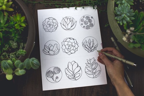 Тату суккулент эскиз
