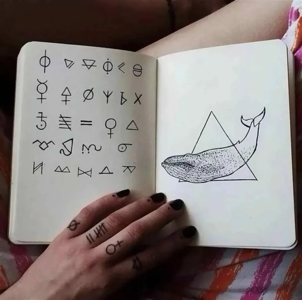 Легкие рисунки для скеит