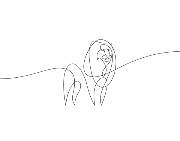 Пикассо одной линией