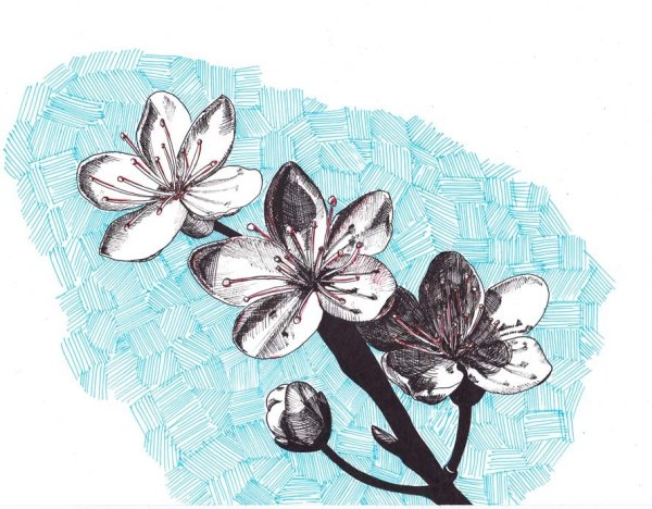 Цветы гелевыми ручками