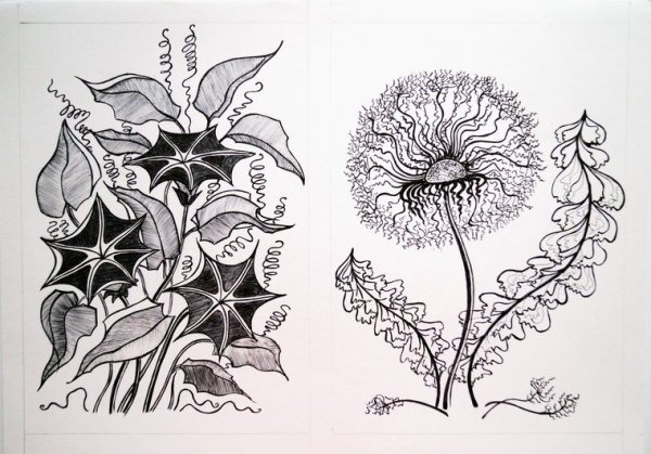 Растения в графике