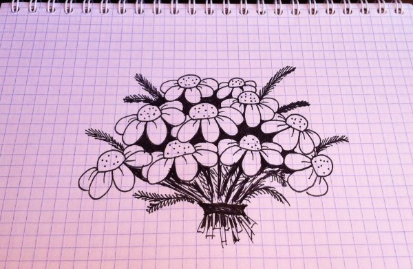 Зентангл растительные узоры