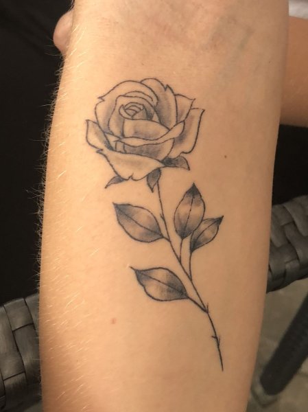 Тату на руке ручкой роза