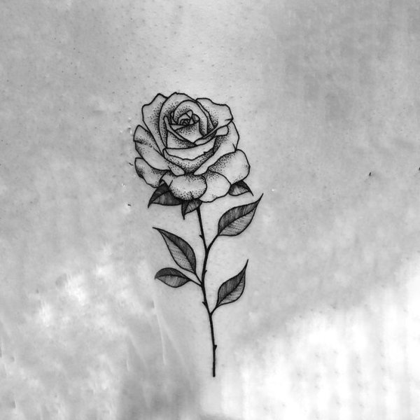 Розочка эскиз