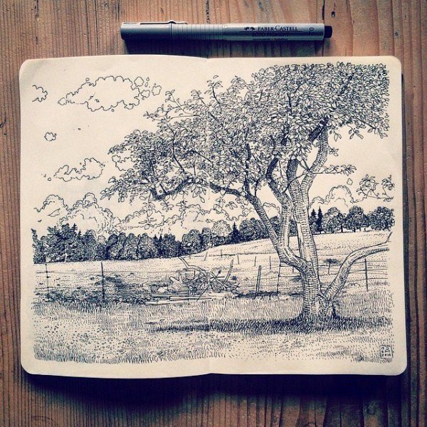 Скетчбук природа