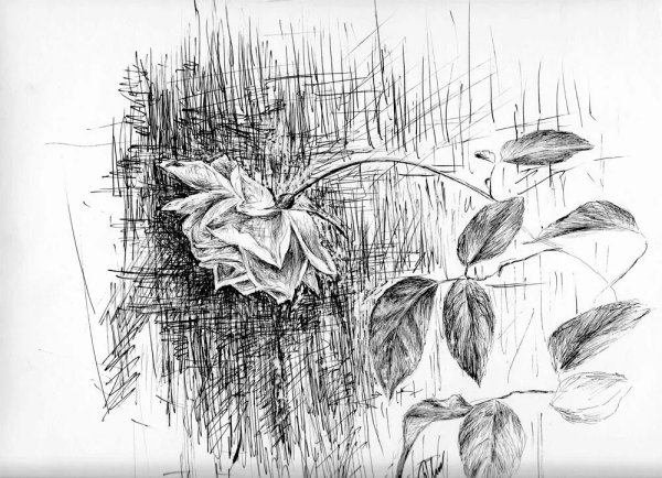 Рисунок штрихами