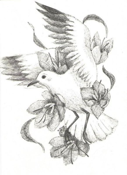 Птица гелевой ручкой набросок
